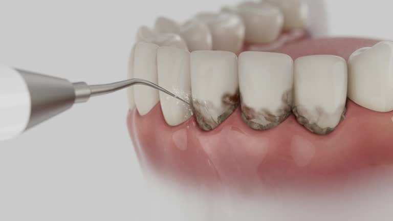 Reliable Dental contractor in Conway, PA by Dentist Open Now